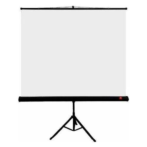 Avtek Tripod Standard 200 projection screen