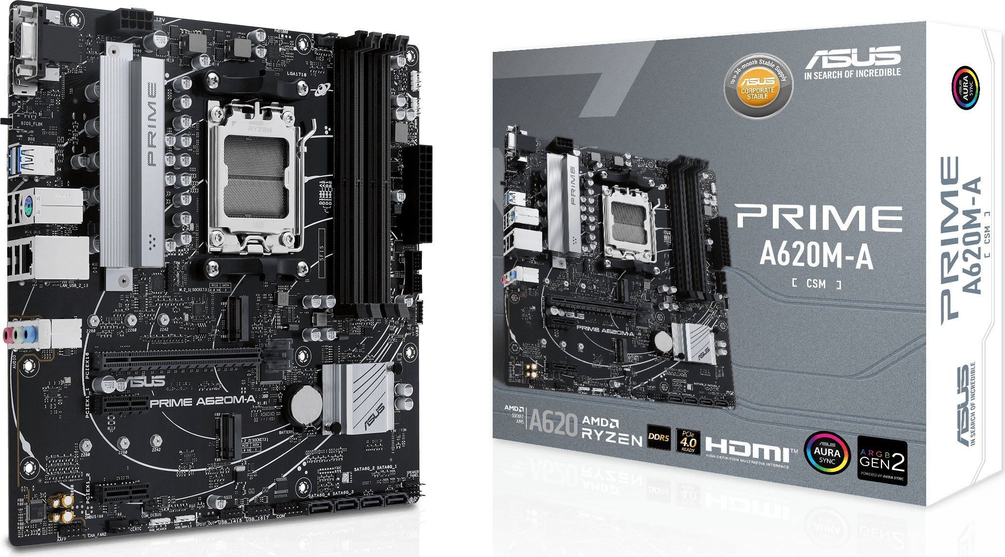 ASUS Prime A620M-A-CSM, AMD A620 motherboard