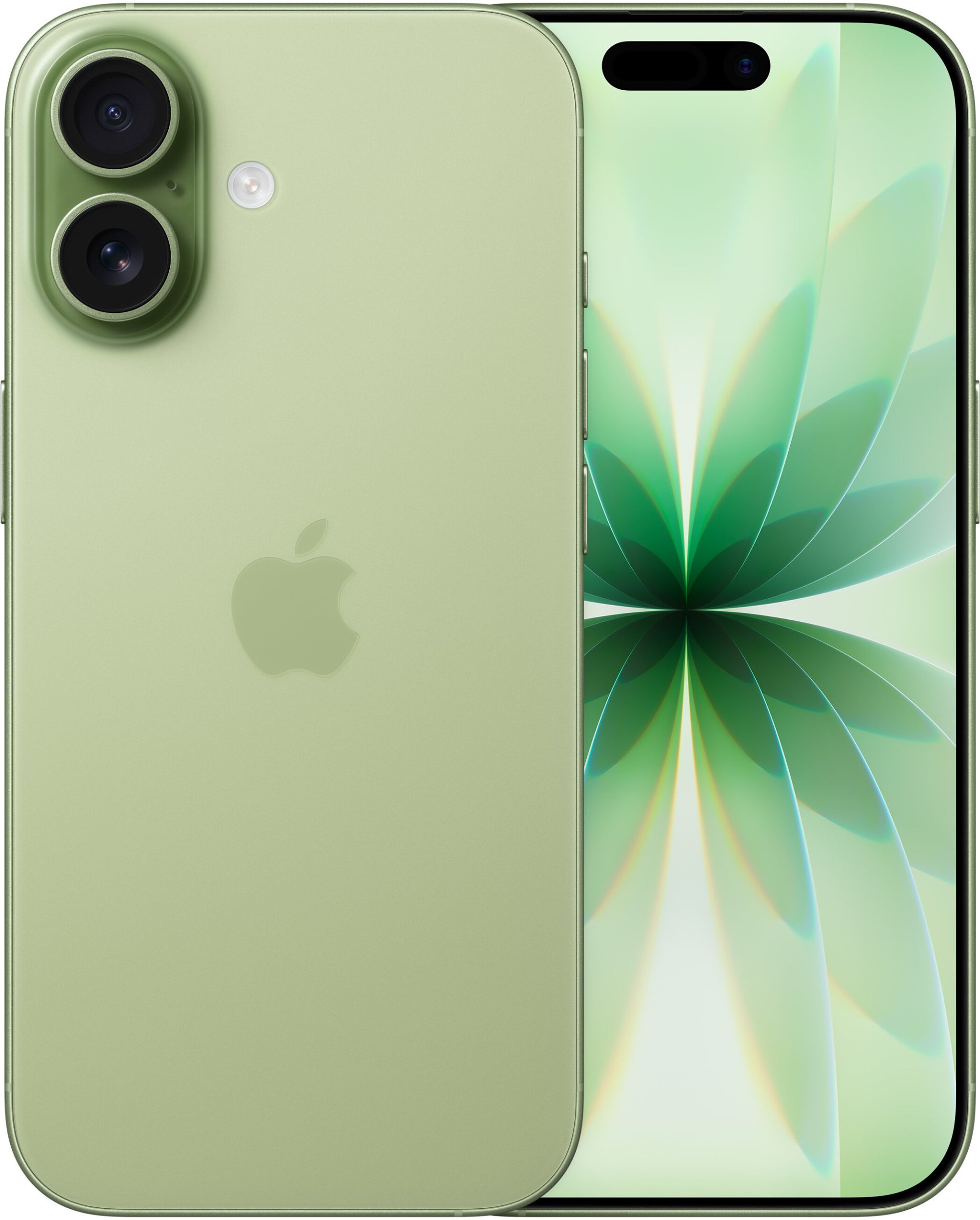 Apple iPhone 17 16 cm (6