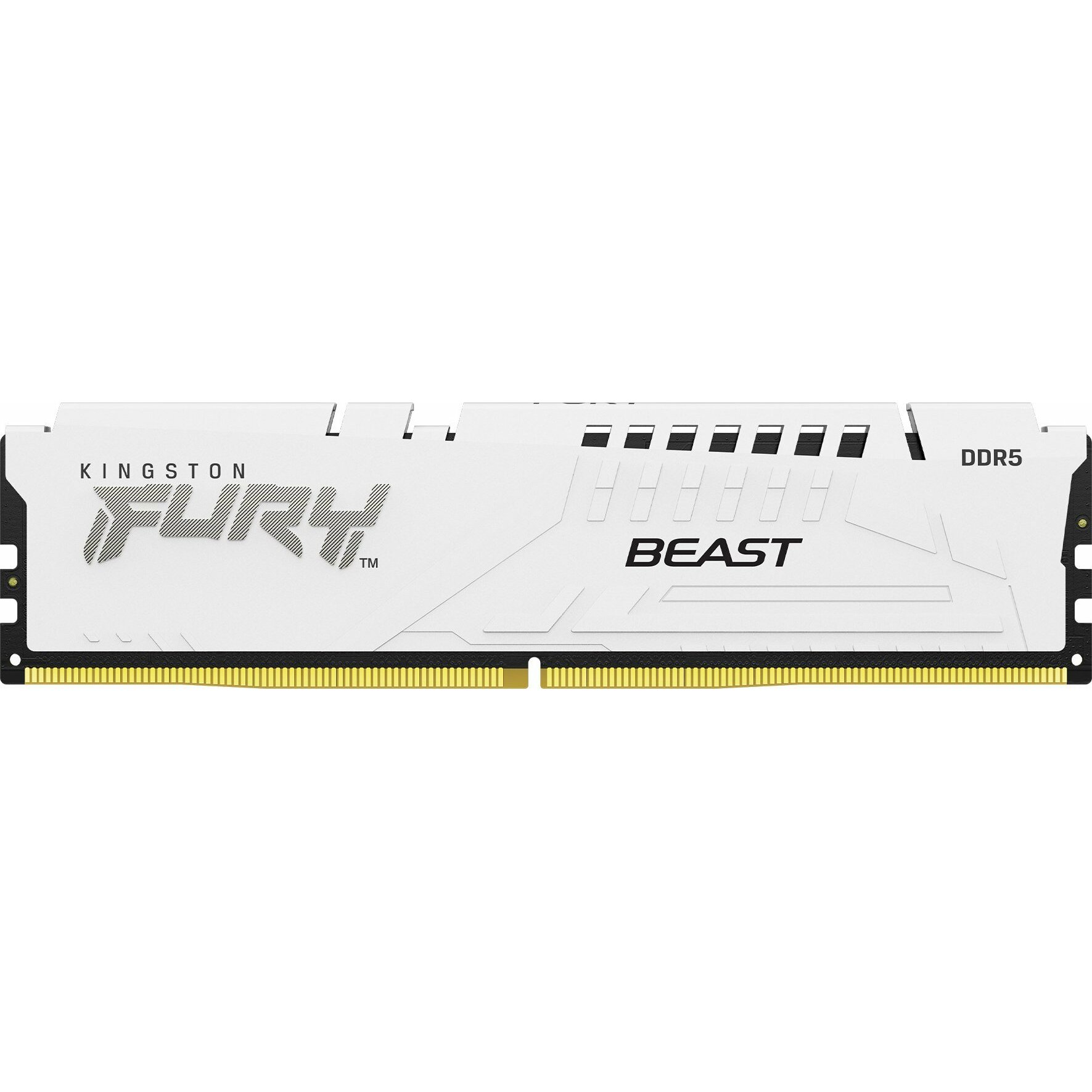 Kingston FURY Beast EXPO/DDR5/64 GB/5600 MHz/CL36/2x32