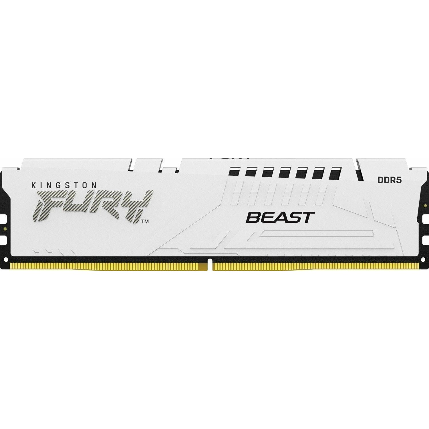 Pamięć Kingston Fury Beast, DDR5, 32