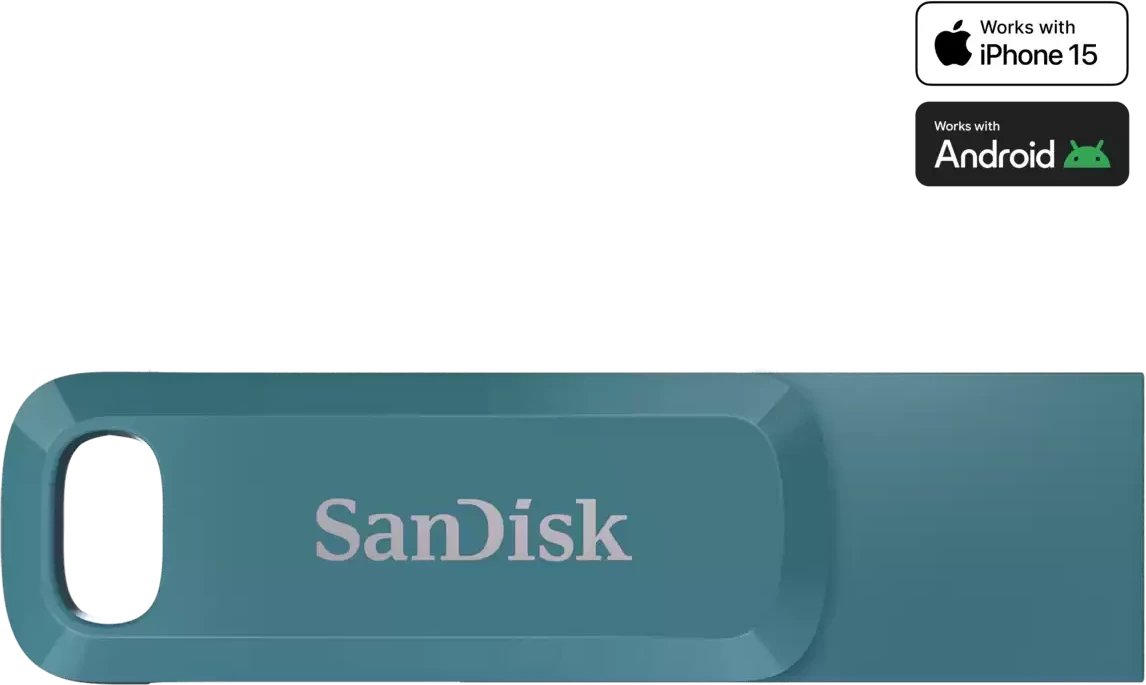 MEMORY DRIVE FLASH USB-C 512GB/SDDDC3-512G-G46NBB SANDISK