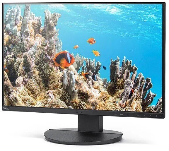 Monitor Sharp MultiSync EA242W (60006214) |