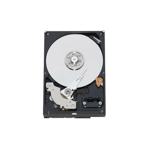 Dysk WD Blue 1TB 3.5``