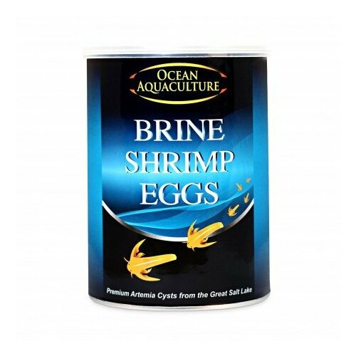 Tropical Ocean Aquaculture, brine shrimp eggs