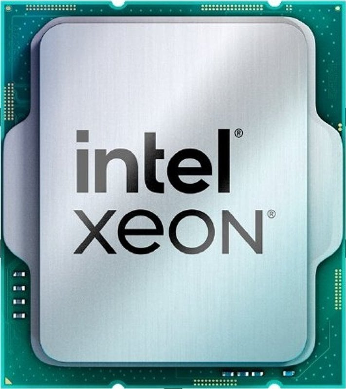 Procesor serwerowy Intel CPU Xeon E-2434