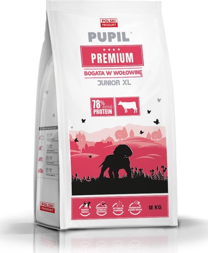 PUPIL Premium Junior Large and extra