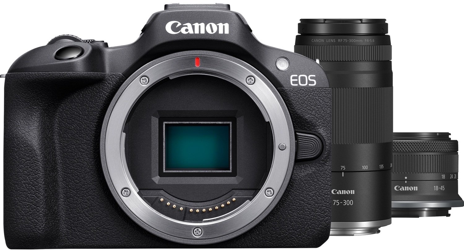 Canon EOS R100 + obiektyw RF-S