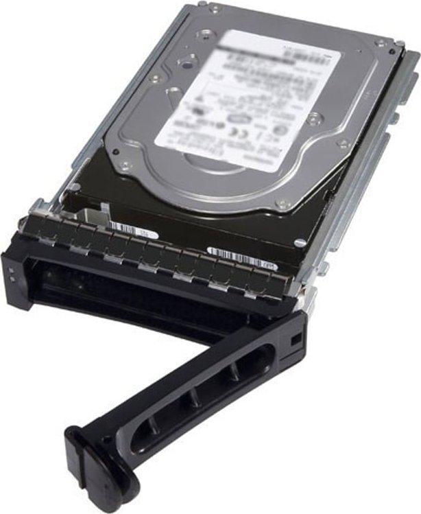 Dysk serwerowy Dell 1TB 3.5``