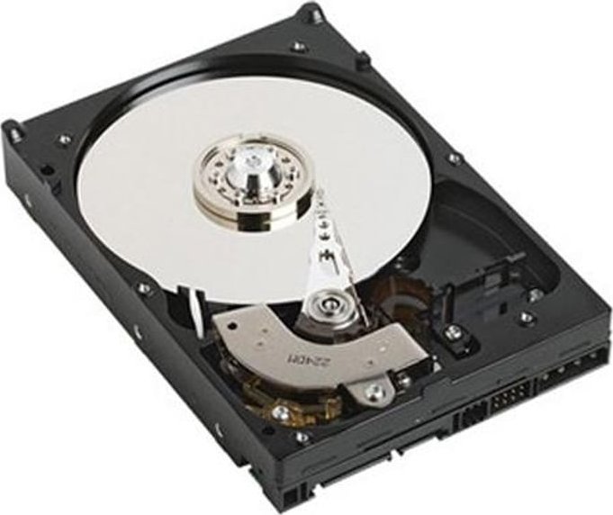 Dysk serwerowy Dell 1TB 3.5``