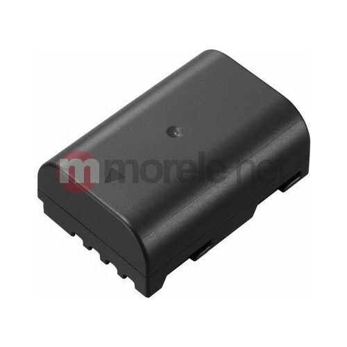 Panasonic battery DMW-BLF19 | DMW-BLF19E |