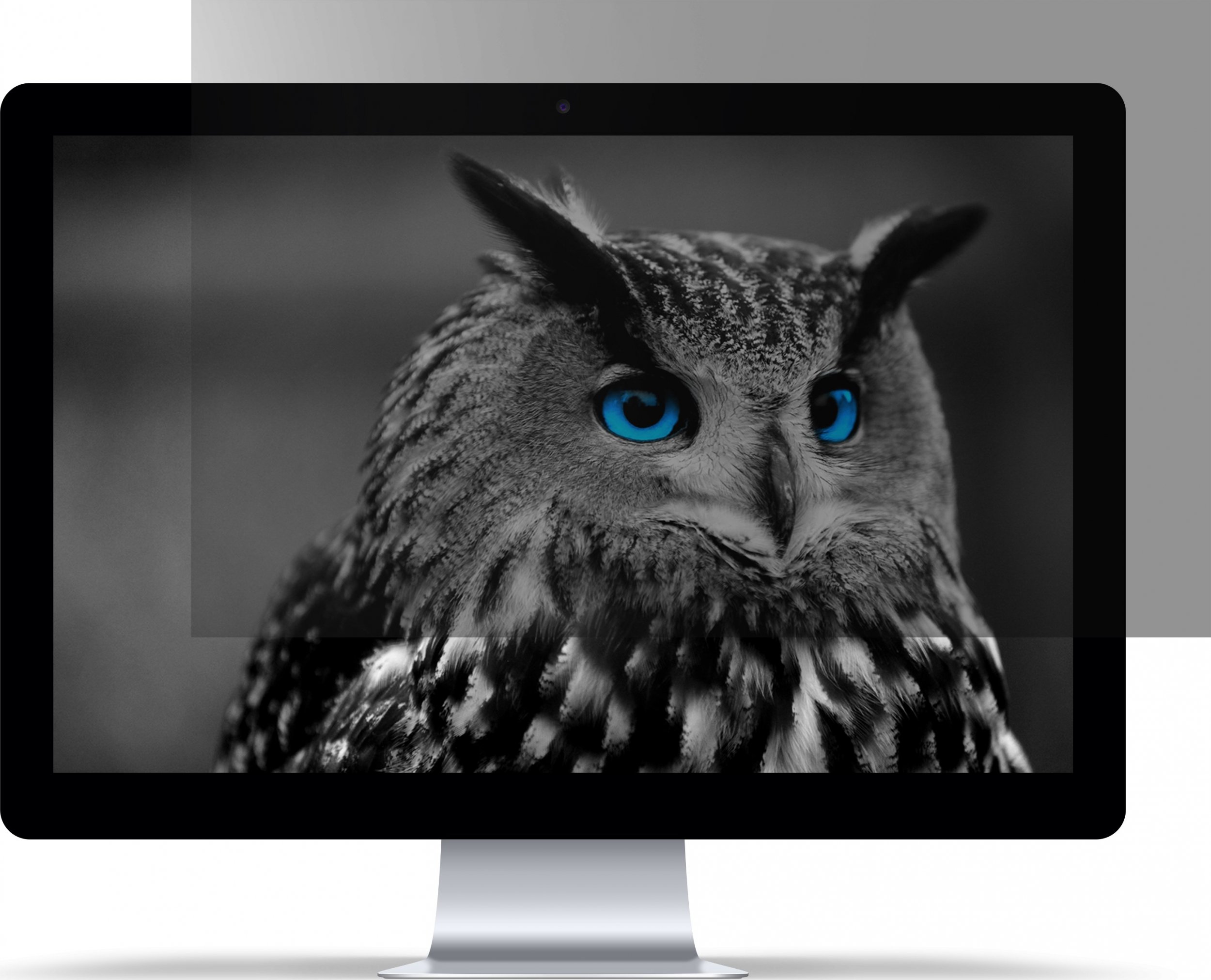 NATEC PRIVATIZING FILTER OWL 27" 16:9