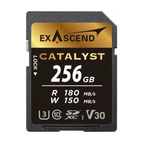 Karta ExAscend Catalyst SDXC 256 GB