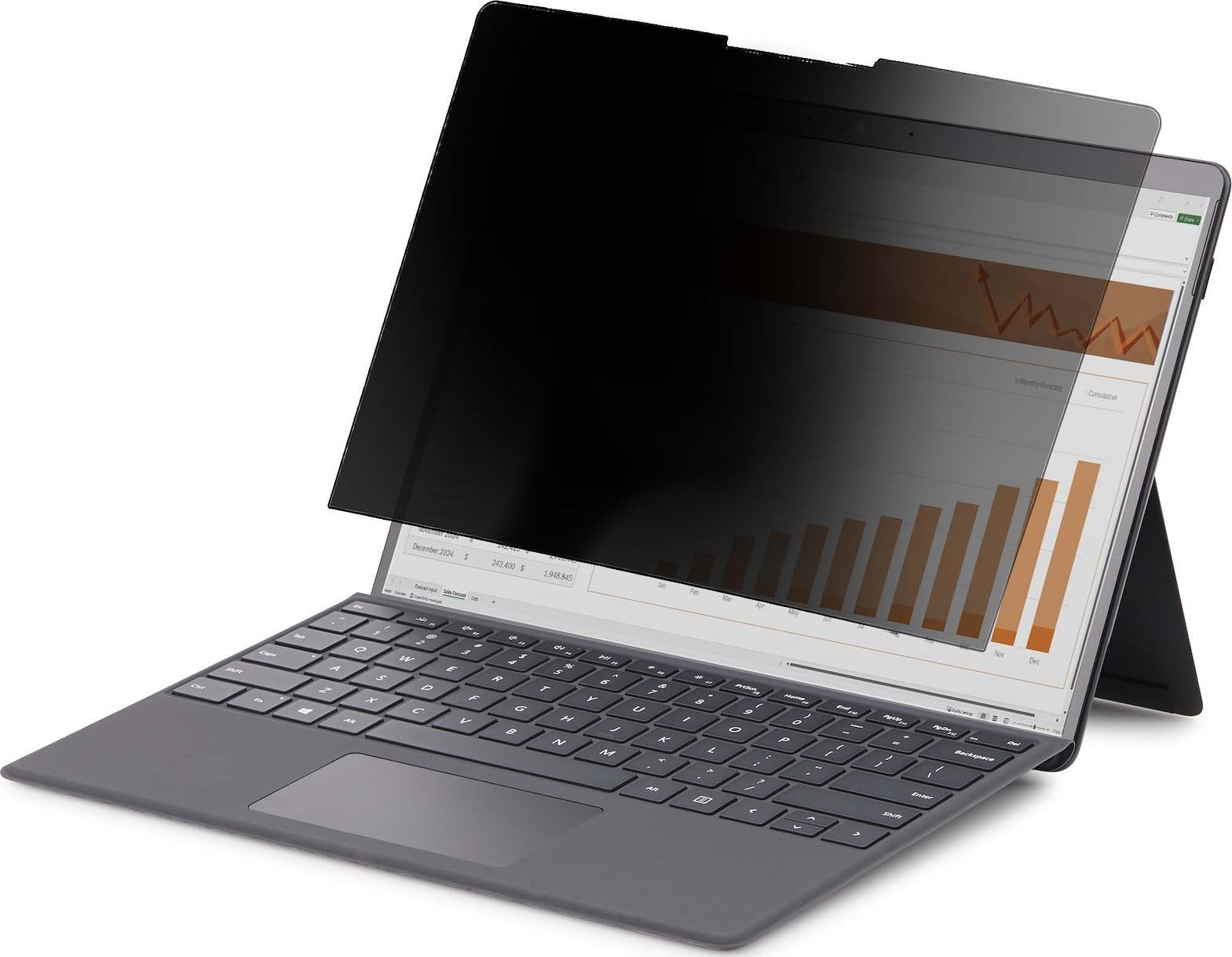 StarTech 124SL-PRIVACY-SCREEN filtr do ekranu 31