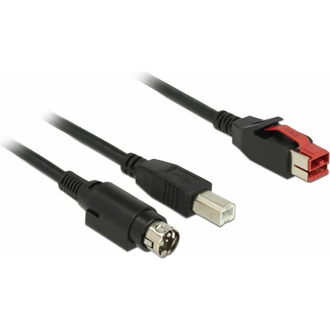 Kabel USB Delock USB-A - PoweredUSB