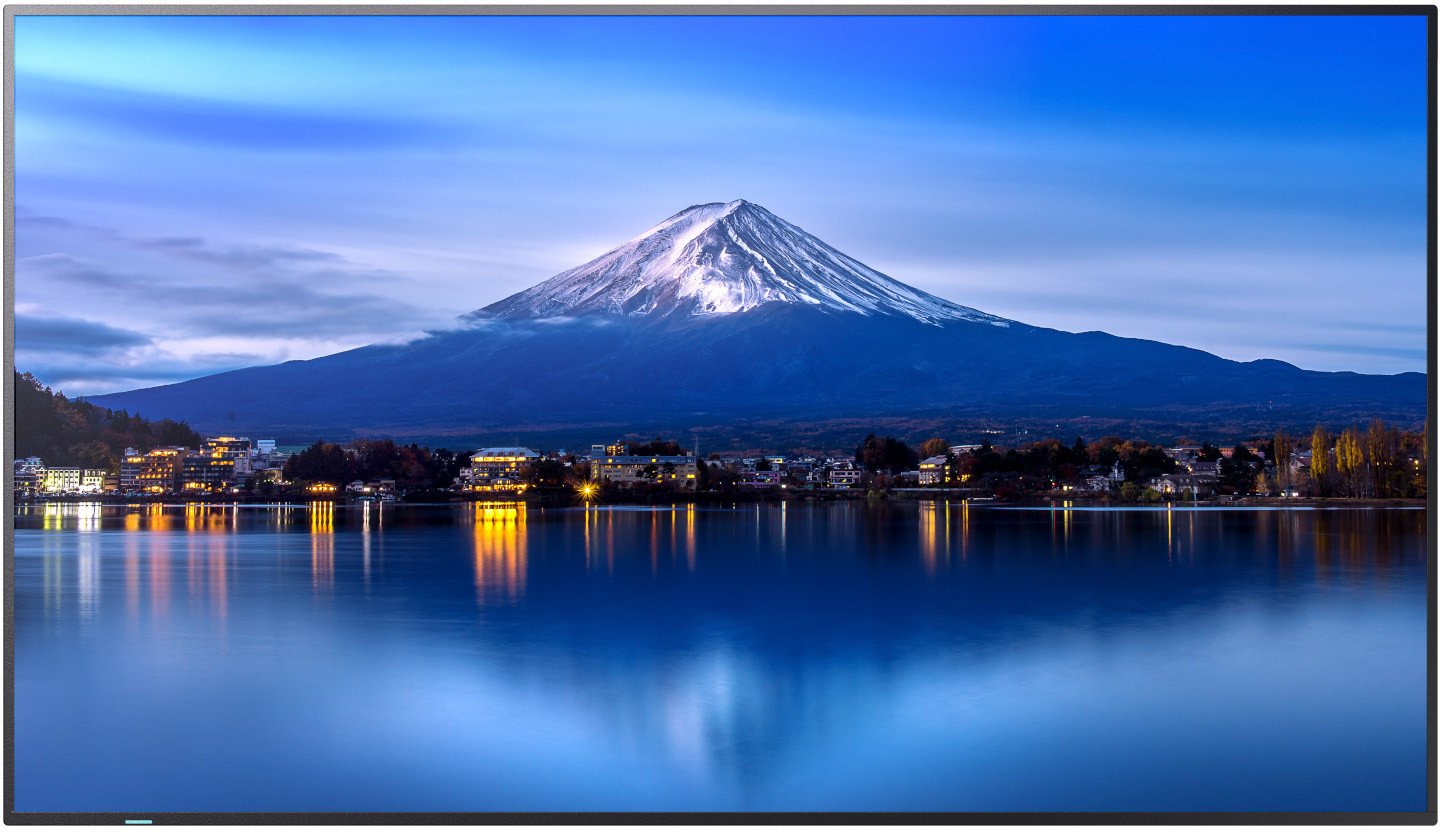 Monitor NEC MODEL PN-P656, 65`` P-Series