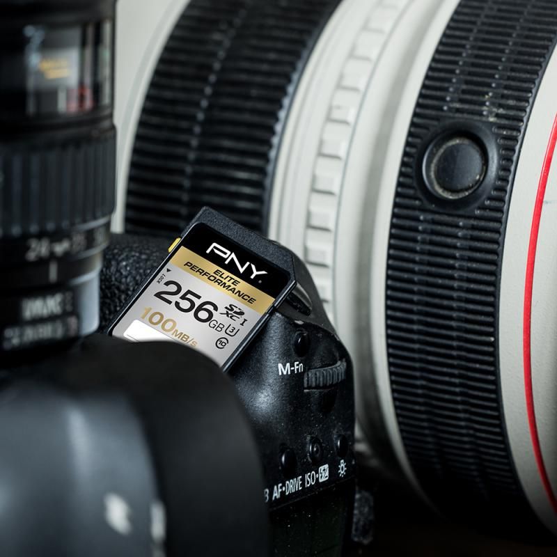 Karta PNY Elite Performance SDXC 256