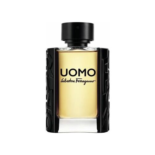 Salvatore Ferragamo Uomo EDT 100 ml