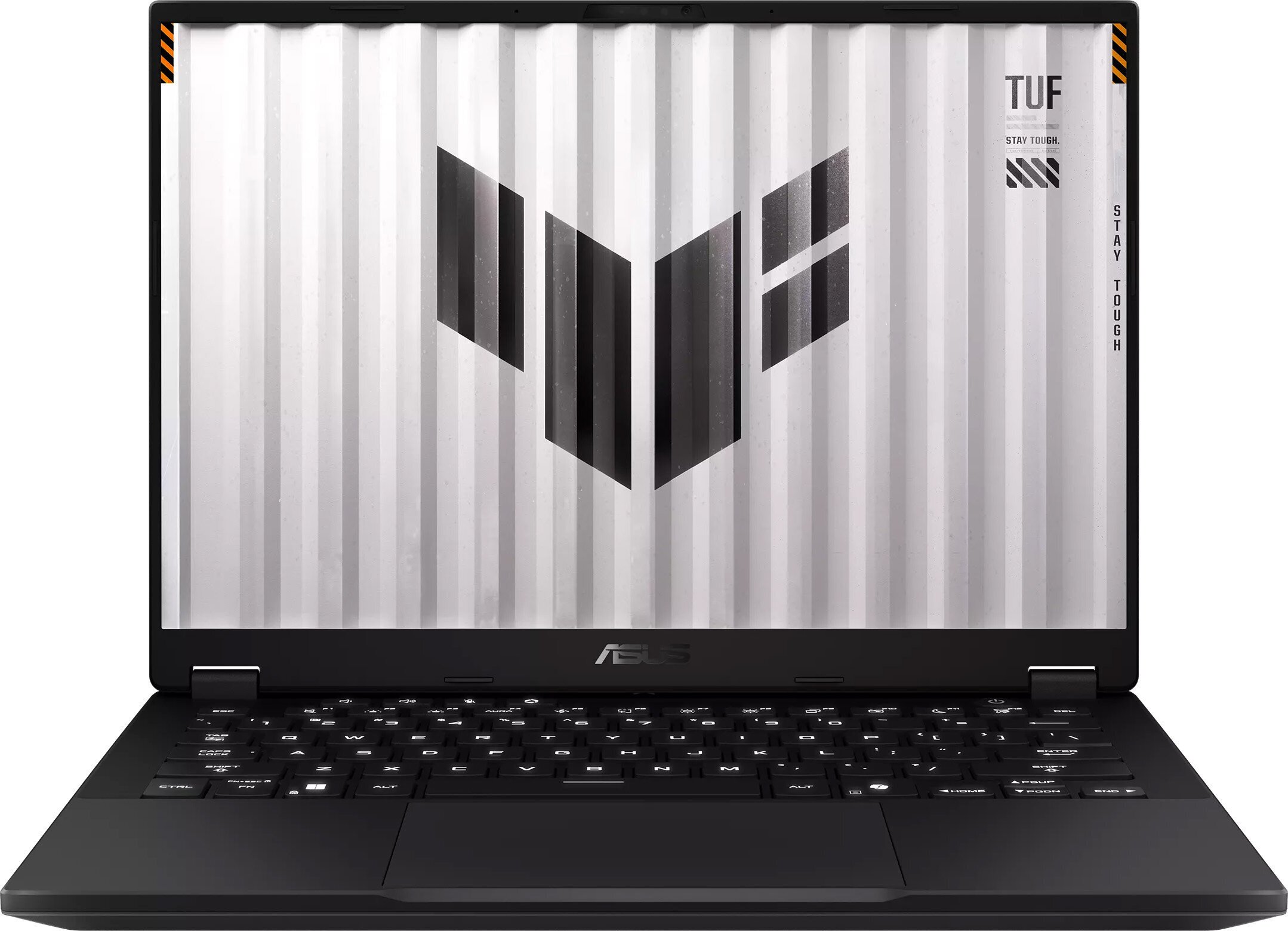 ASUS TUF Gaming FA401EA-RG005W - Ryzen