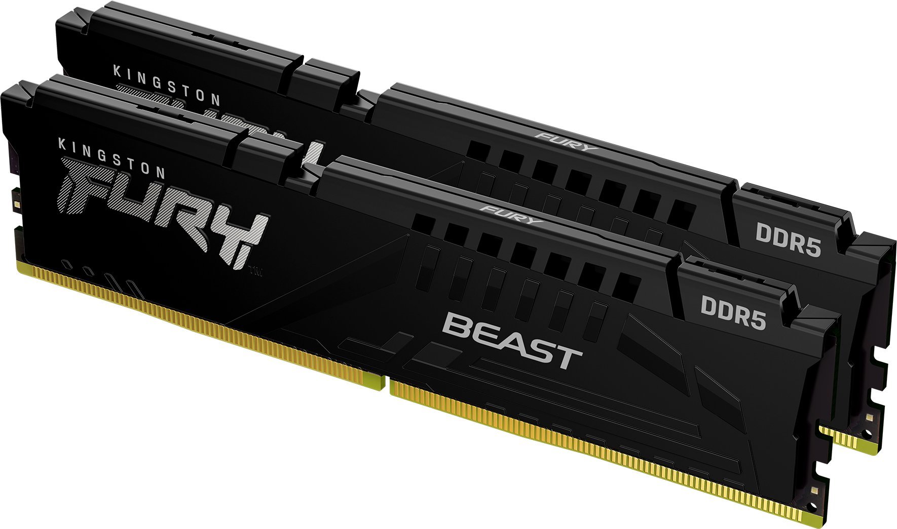 Kingston DDR5 Fury Beast Black 64GB(232GB)/5600