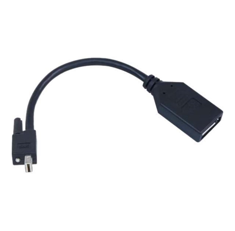Adapter AV Matrox DisplayPort Mini -