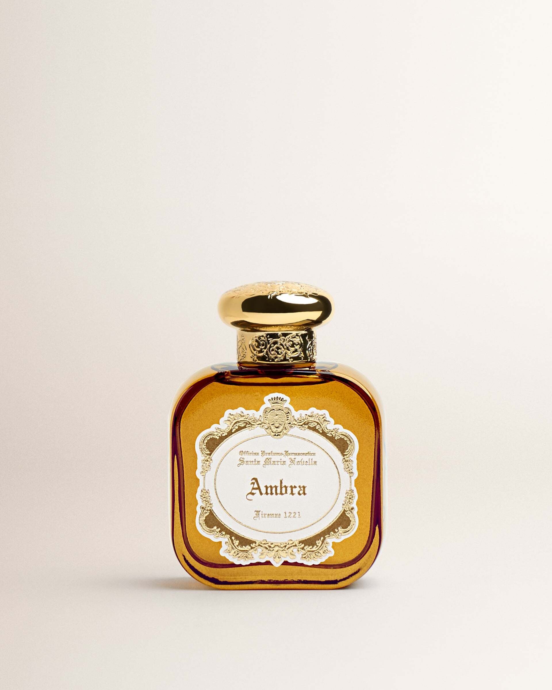 Giordano Amaro Santa Maria Novella, Ambra