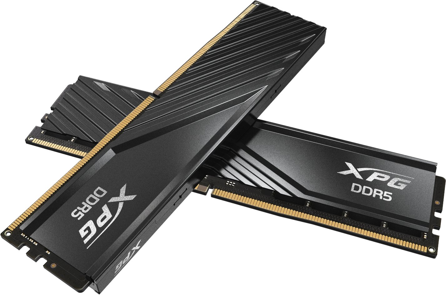 XPG MEMORY DIMM 16GB DDR5-5600 K2/AX5U5600C468G-DTLABBK