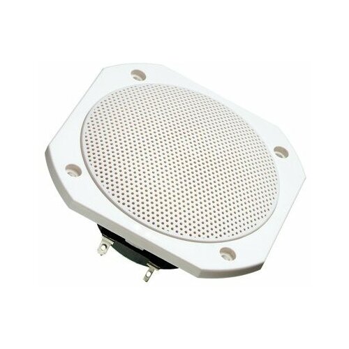 Penton Visaton FRS 10 WP full-range