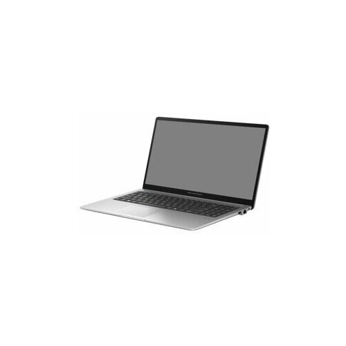 ASUS ExpertBook P1503CVAY-S73122X Core 5 210H