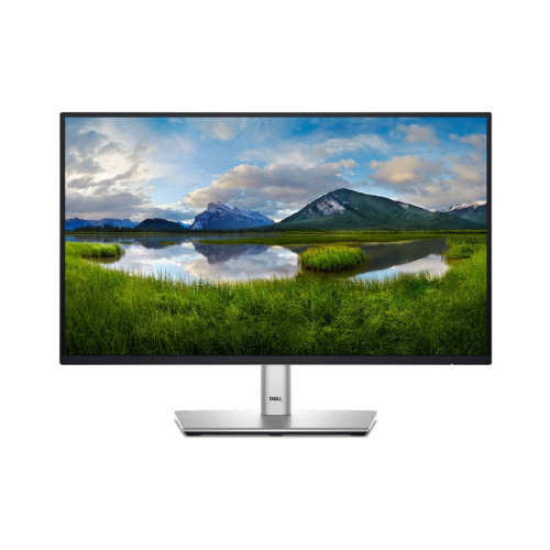 Dell | Monitor | P2225H |