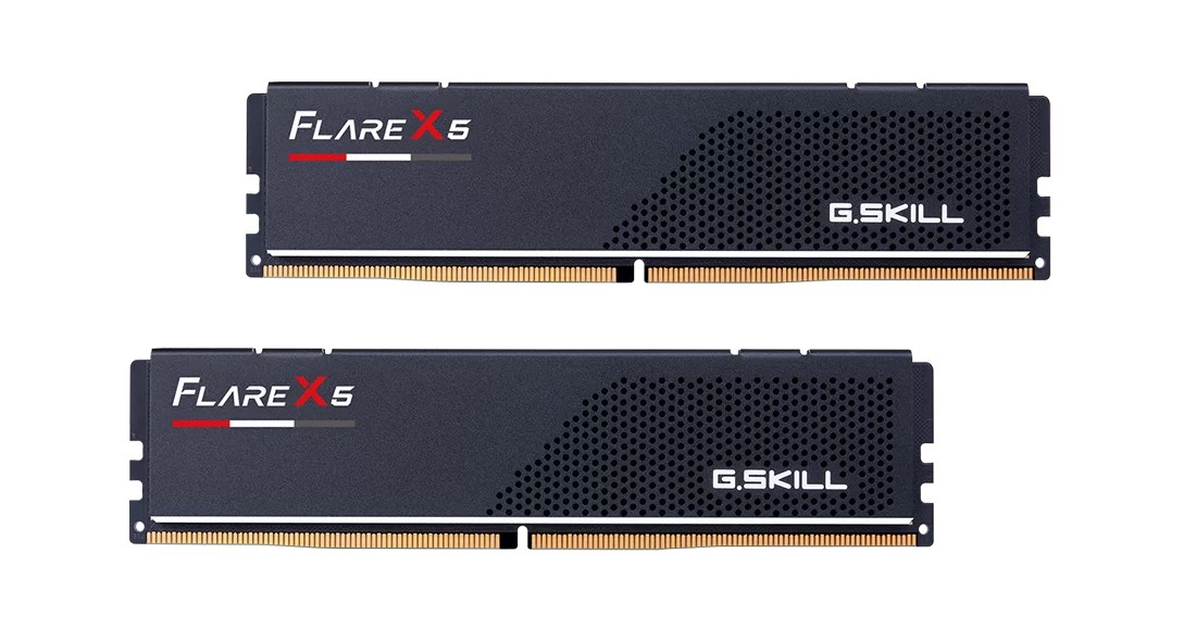 G.SKILL Flare X5 AMD DD