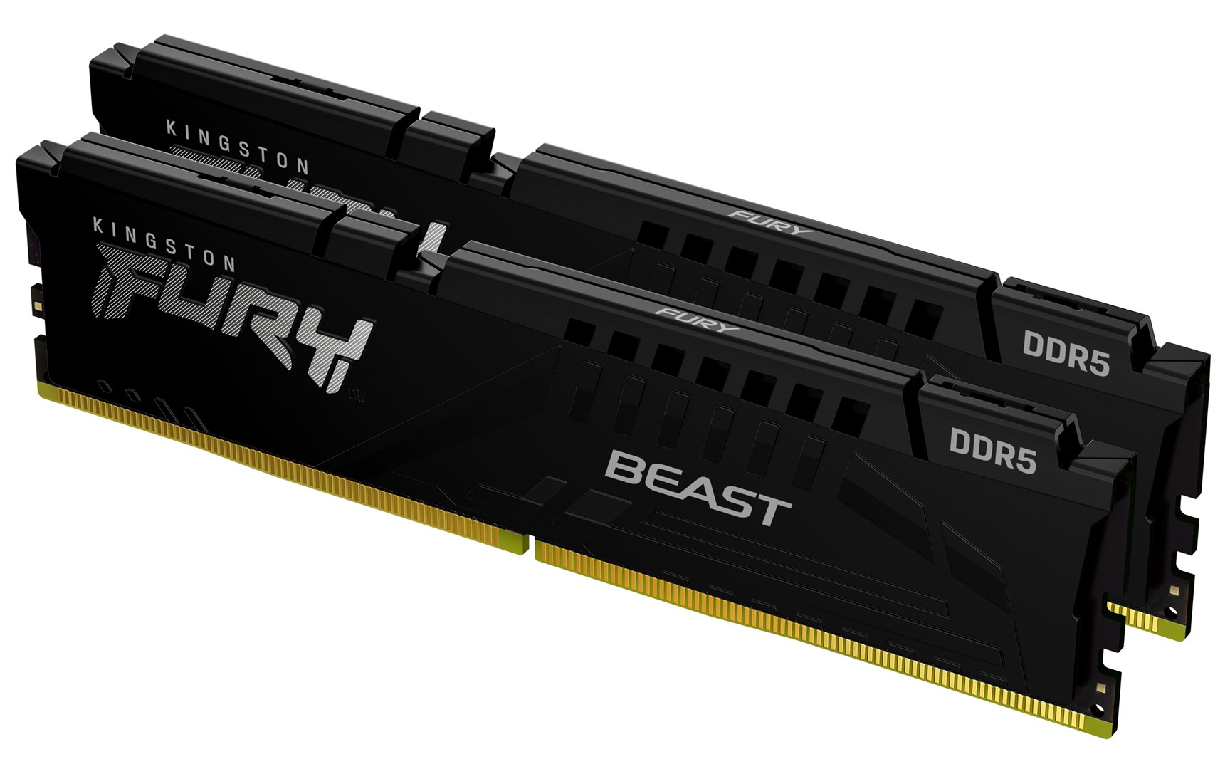 Kingston Technology FURY Beast 16GB 5600MT/s
