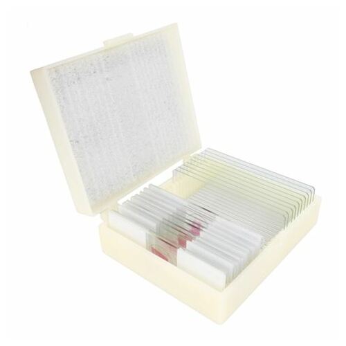 Konus Preparation Set Human Body (25