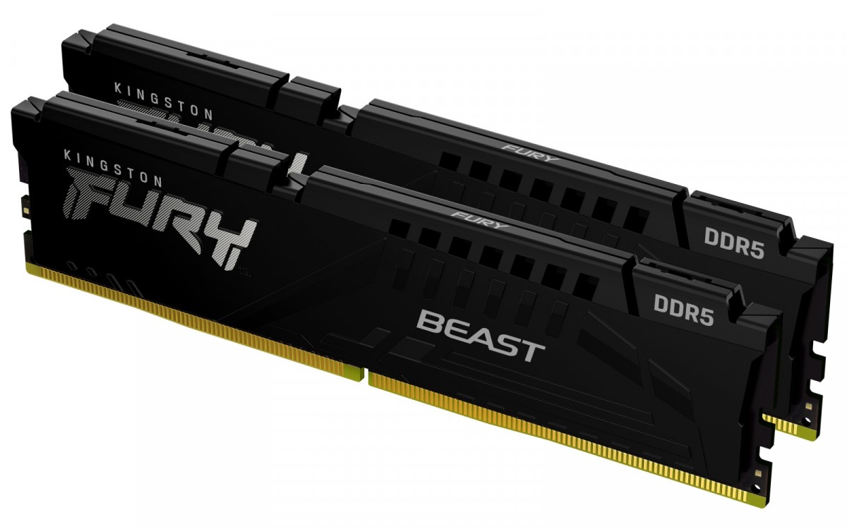 Kingston | FURY Beast EXPO |