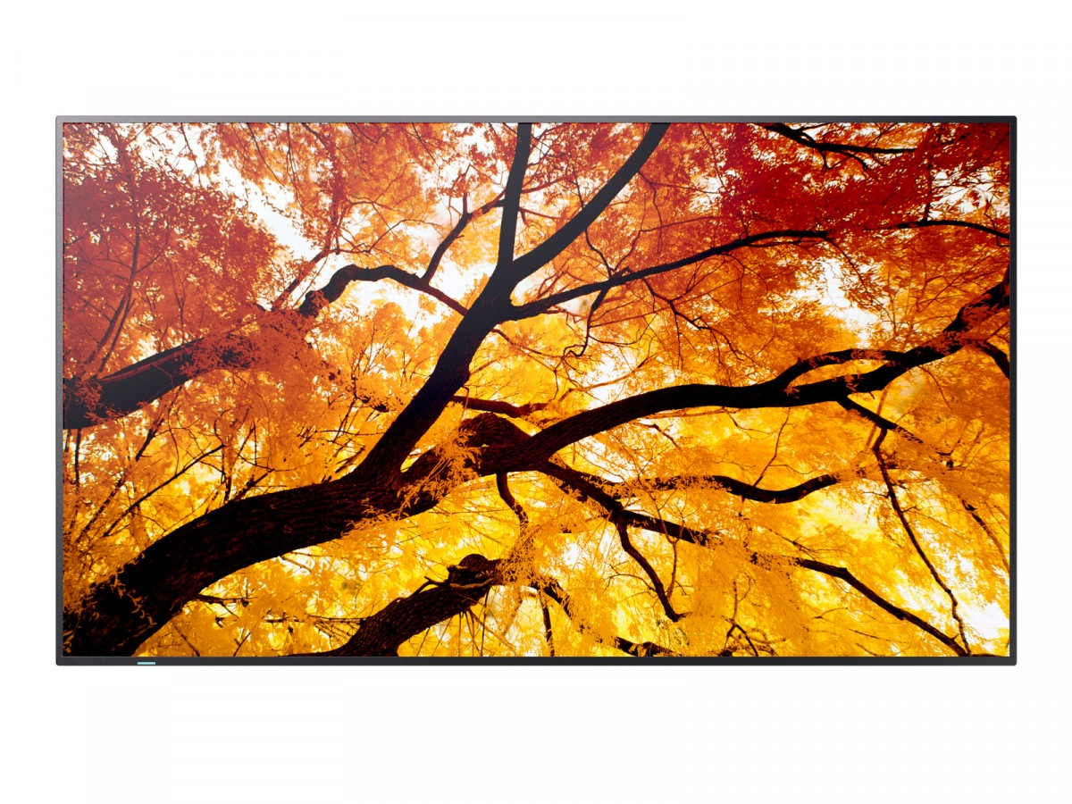 SHARP Monitor M652 65 inches 24/7