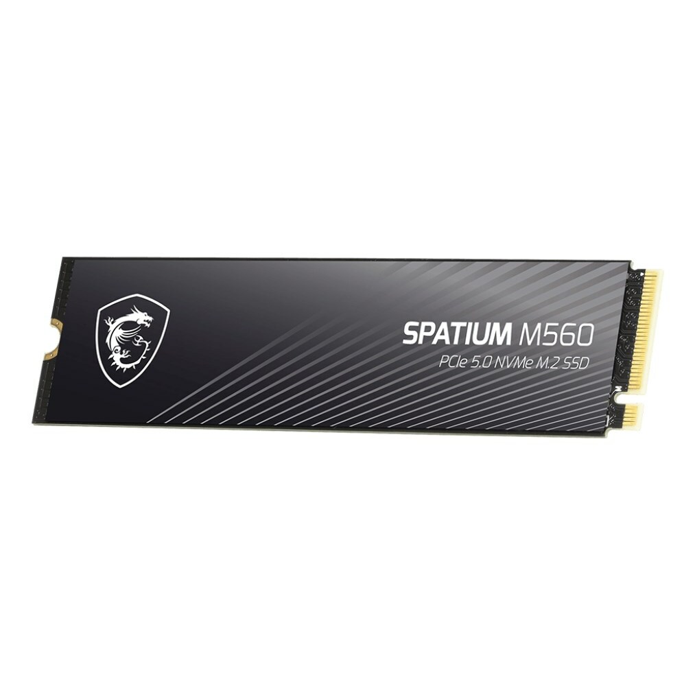MSI Spatium M560 PCIE 5.0