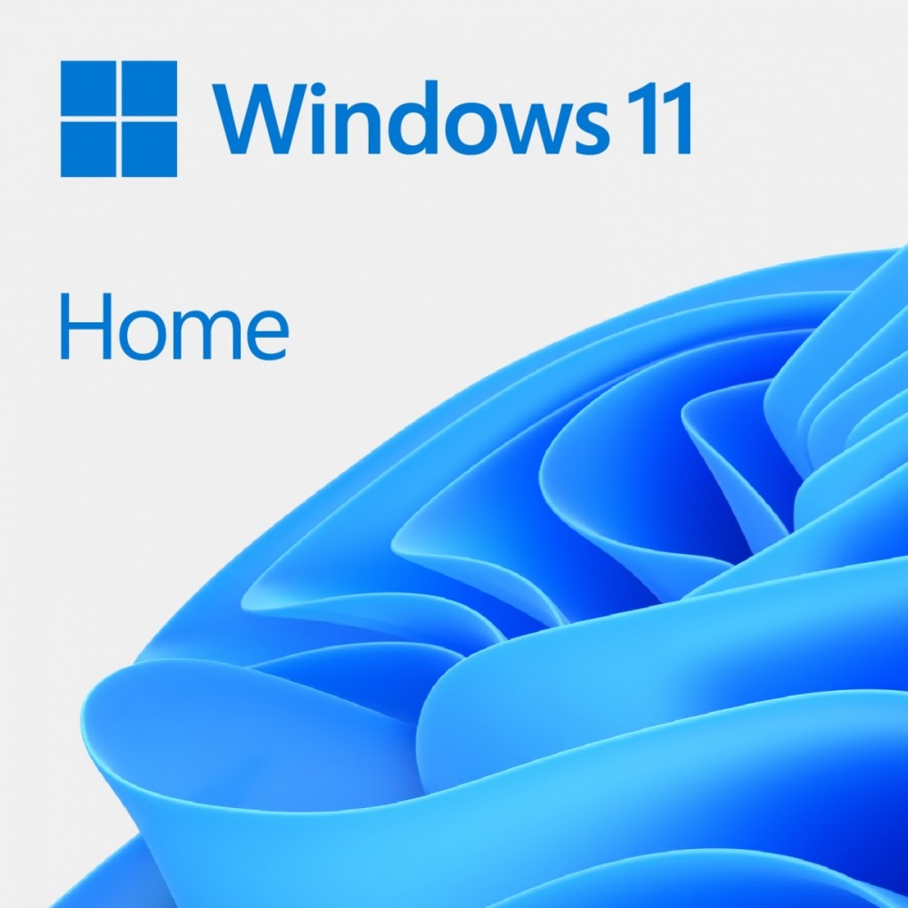 Microsoft (OEM) Microsoft Windows 11 Home