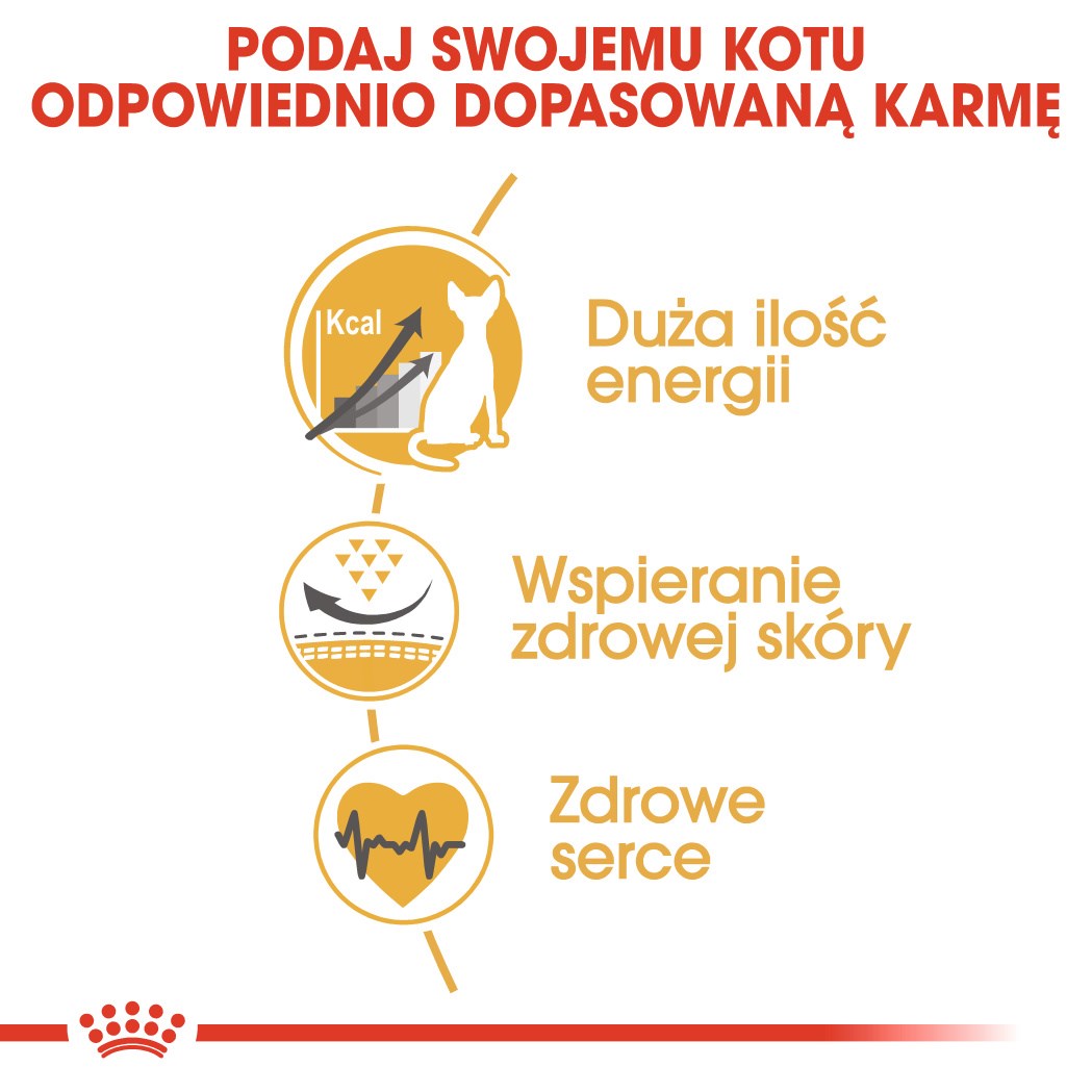 Royal Canin Sphynx dry cat food