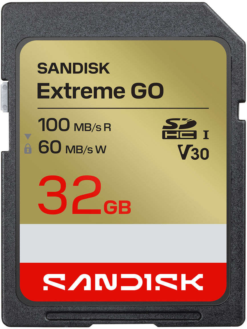 SanDisk Extreme GO 32 GB SDHC