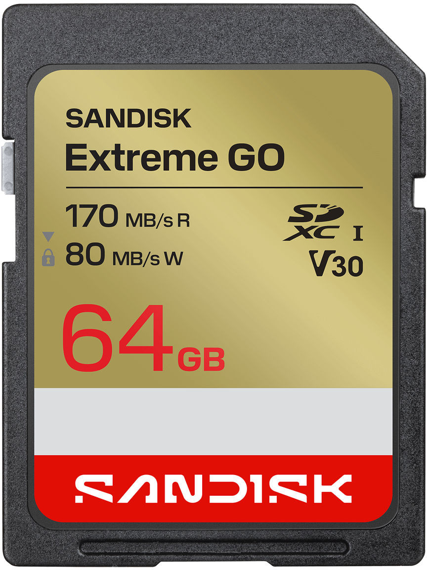 SanDisk Extreme GO 64 GB SDXC