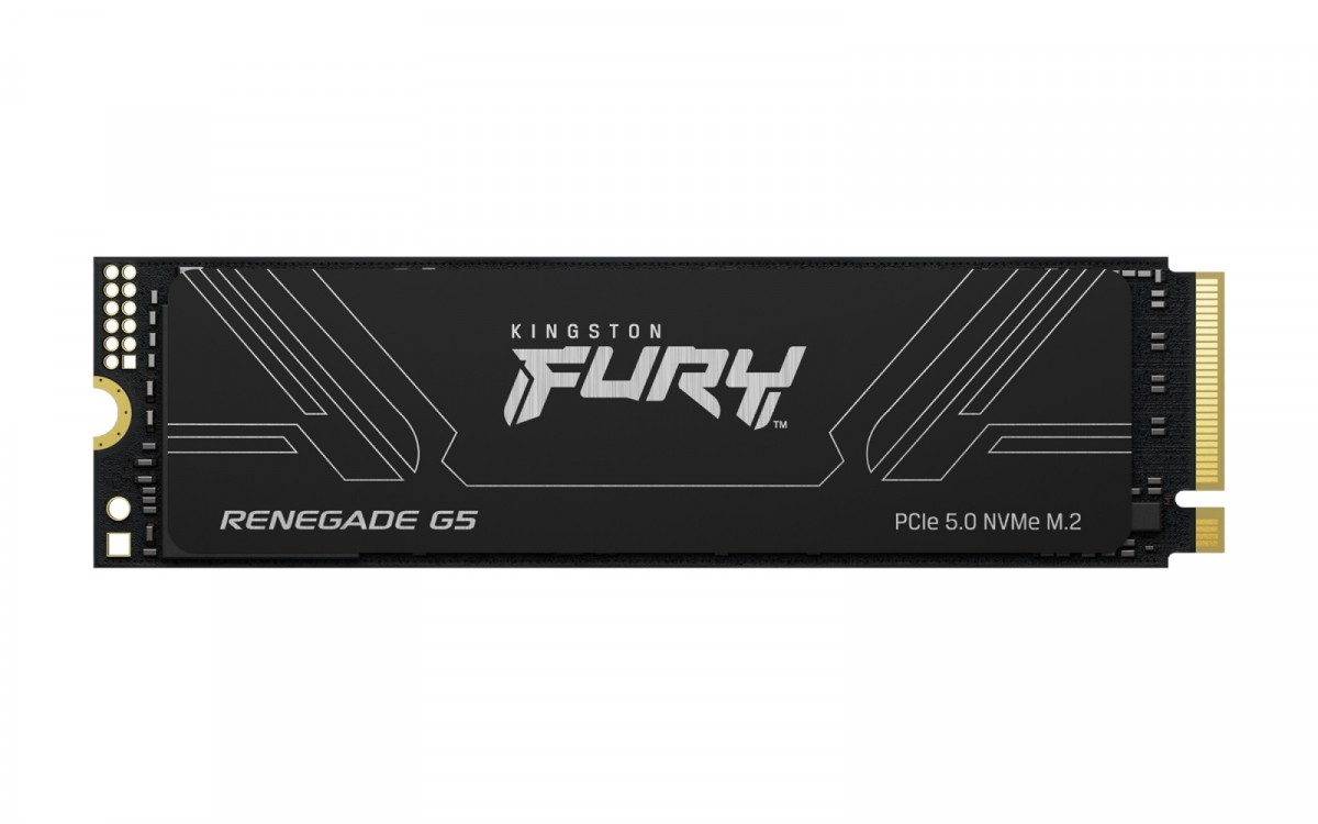 Kingston Fury SSD Disk Renegade G5